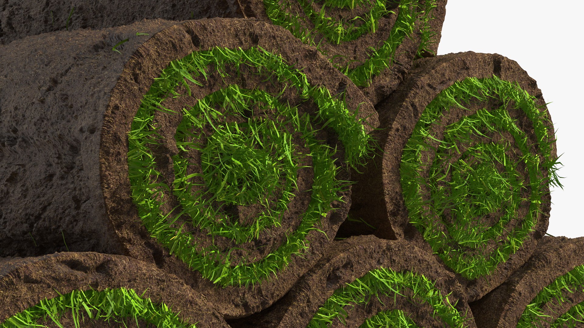 Rolled Lawn Small Stack Model - TurboSquid 1893512