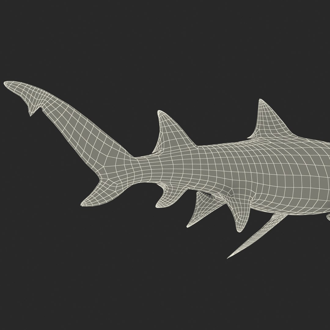 sicklefin lemon shark rigged c4d https://p.turbosquid.com/ts-thumb/hM/dKy5yH/BJOWCvcu/sicklefinlemonsharkriggedcinema4d3dmodel30/jpg/1481907842/1920x1080/fit_q87/6079b68ed226391ed275c60d1c8079e2011d7d99/sicklefinlemonsharkriggedcinema4d3dmodel30.jpg