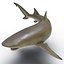 Sicklefin Lemon Shark equipado para Cinema 4D mode