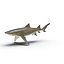 Sicklefin Lemon Shark equipado para Cinema 4D mode
