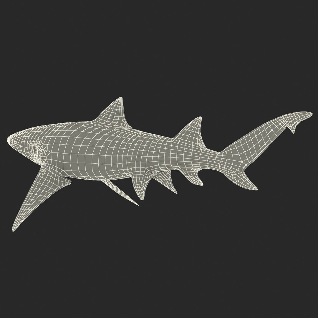 sicklefin lemon shark rigged c4d https://p.turbosquid.com/ts-thumb/hM/dKy5yH/JTtIJSYA/sicklefinlemonsharkriggedcinema4d3dmodel27/jpg/1481907842/1920x1080/fit_q87/c5f0edf61aa6d282164b4fd01354c66594a2a4c3/sicklefinlemonsharkriggedcinema4d3dmodel27.jpg