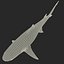 Sicklefin Lemon Shark equipado para Cinema 4D mode