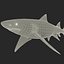 Sicklefin Lemon Shark equipado para Cinema 4D mode