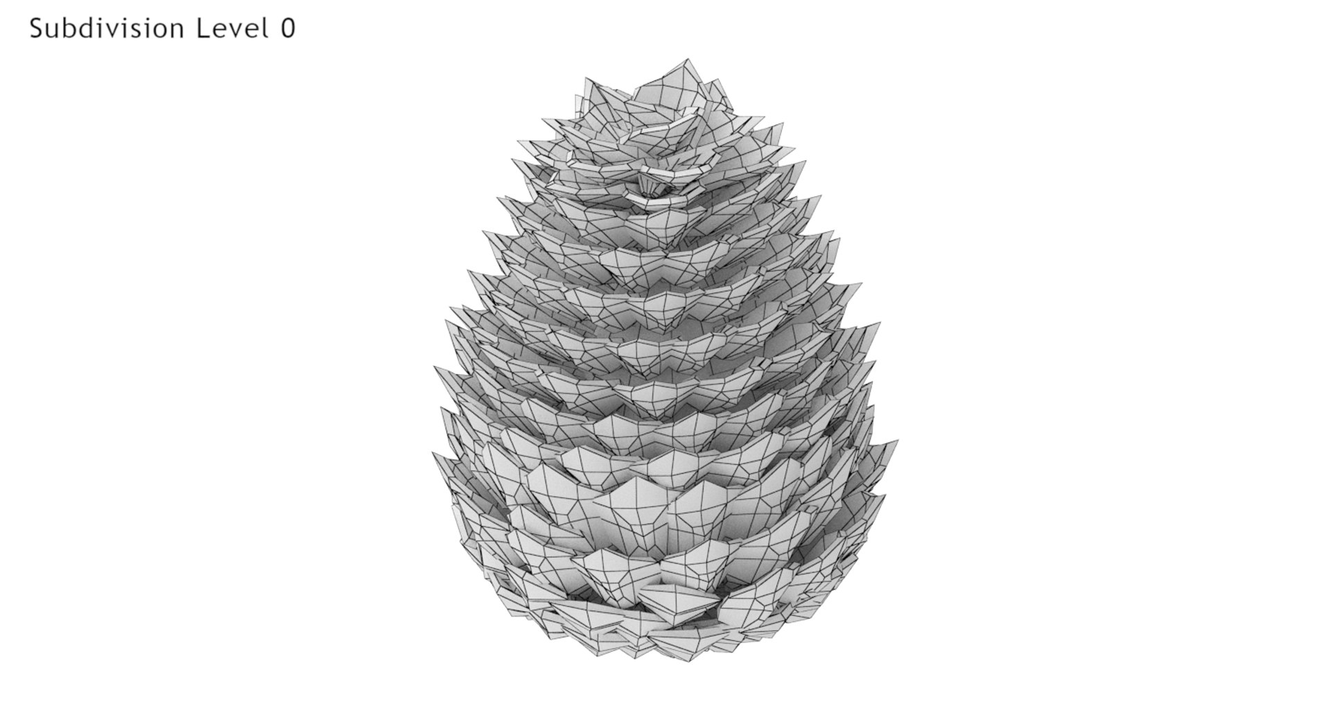 Pine Cone 3D Model - TurboSquid 1404356