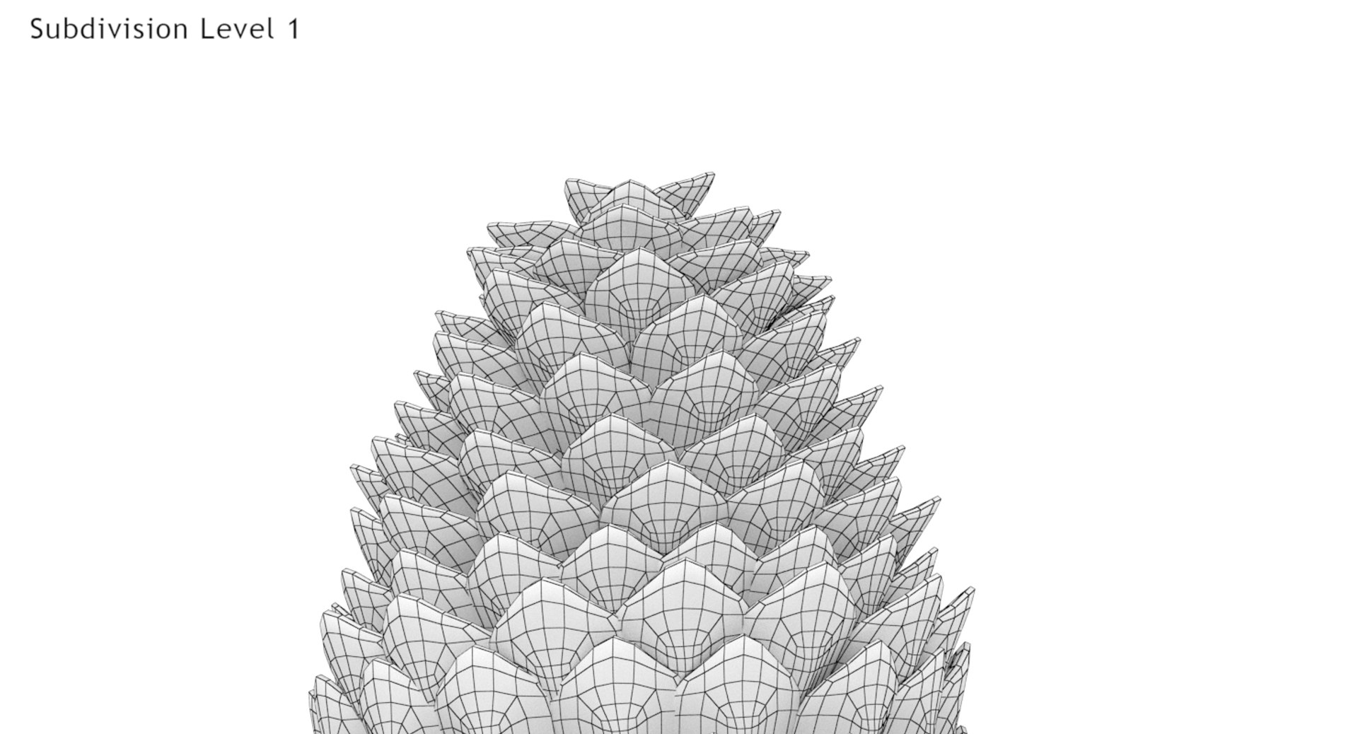 Pine cone 3D model - TurboSquid 1404356