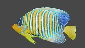 Fish(1) 3D model