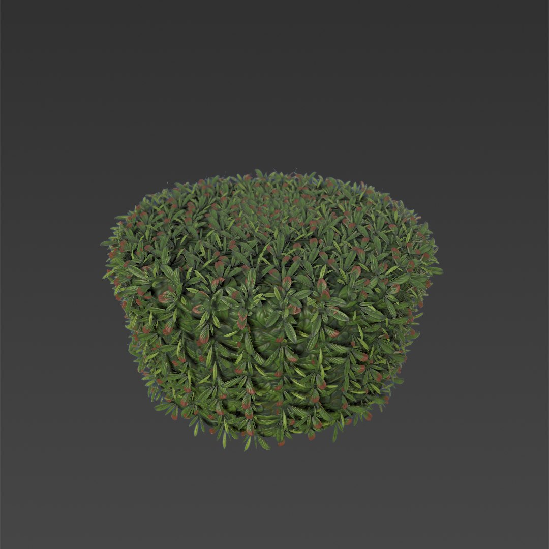 3ds ready hedge pack https://p.turbosquid.com/ts-thumb/hM/xWl5sc/bEcWROHr/cylinder/png/1429835932/1920x1080/fit_q87/0c0ddb1012cb1de7ecc92c608d90478ae996f597/cylinder.jpg