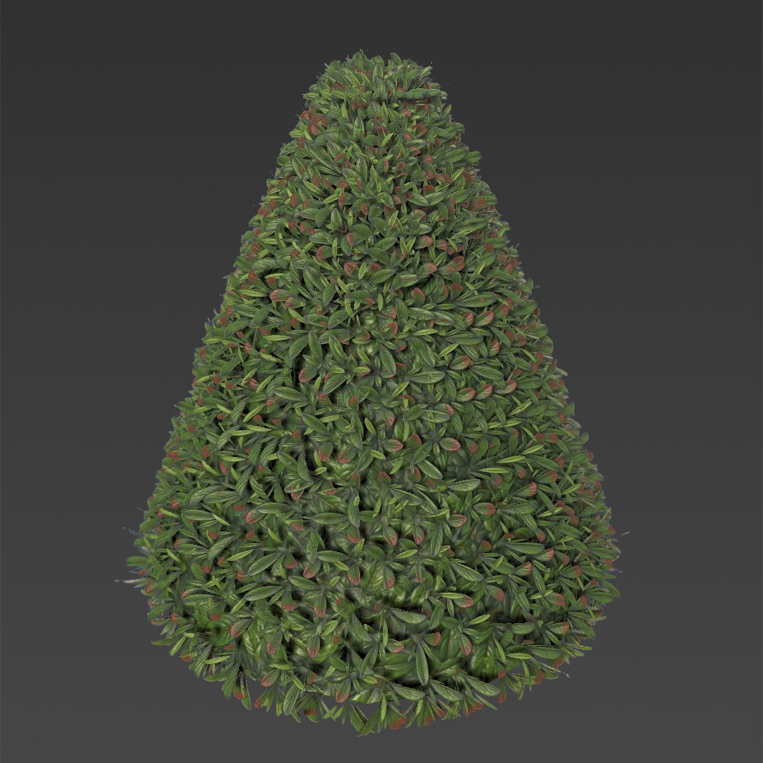 3ds ready hedge pack https://p.turbosquid.com/ts-thumb/hM/xWl5sc/xPDgoa2L/cone/png/1429835932/1920x1080/fit_q87/023bb14584071c73b661ca540b80a6de8f90e2ac/cone.jpg