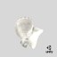Conch Shell 02