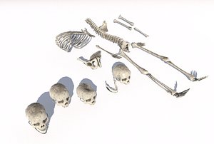 Old Bones Pack PBR