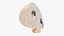 Half Champignon Mushroom