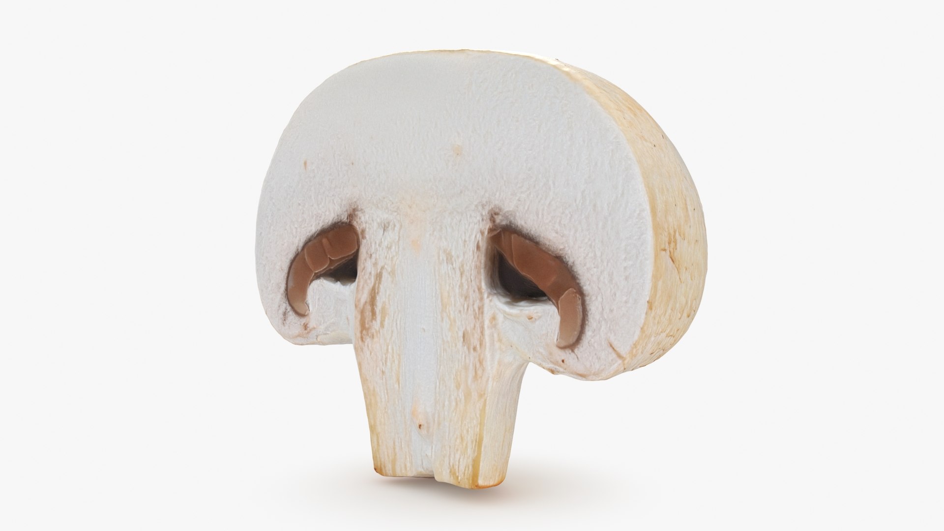 Half Champignon Mushroom 3D model https://p.turbosquid.com/ts-thumb/hN/WI5GK6/Oi/champignonhalf_b0002/jpg/1719422859/1920x1080/fit_q87/991c23224db16ca299451f09ea0a91916069ac4e/champignonhalf_b0002.jpg