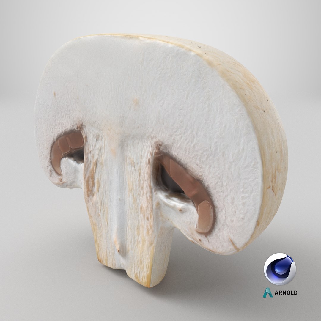 Half Champignon Mushroom 3D model https://p.turbosquid.com/ts-thumb/hN/WI5GK6/SU/stemcell_cinema_4d_arnold_render/png/1719503350/1920x1080/fit_q87/1a9d455af38fa649aa2fcc959474103b54568a85/stemcell_cinema_4d_arnold_render.jpg