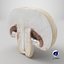Half Champignon Mushroom