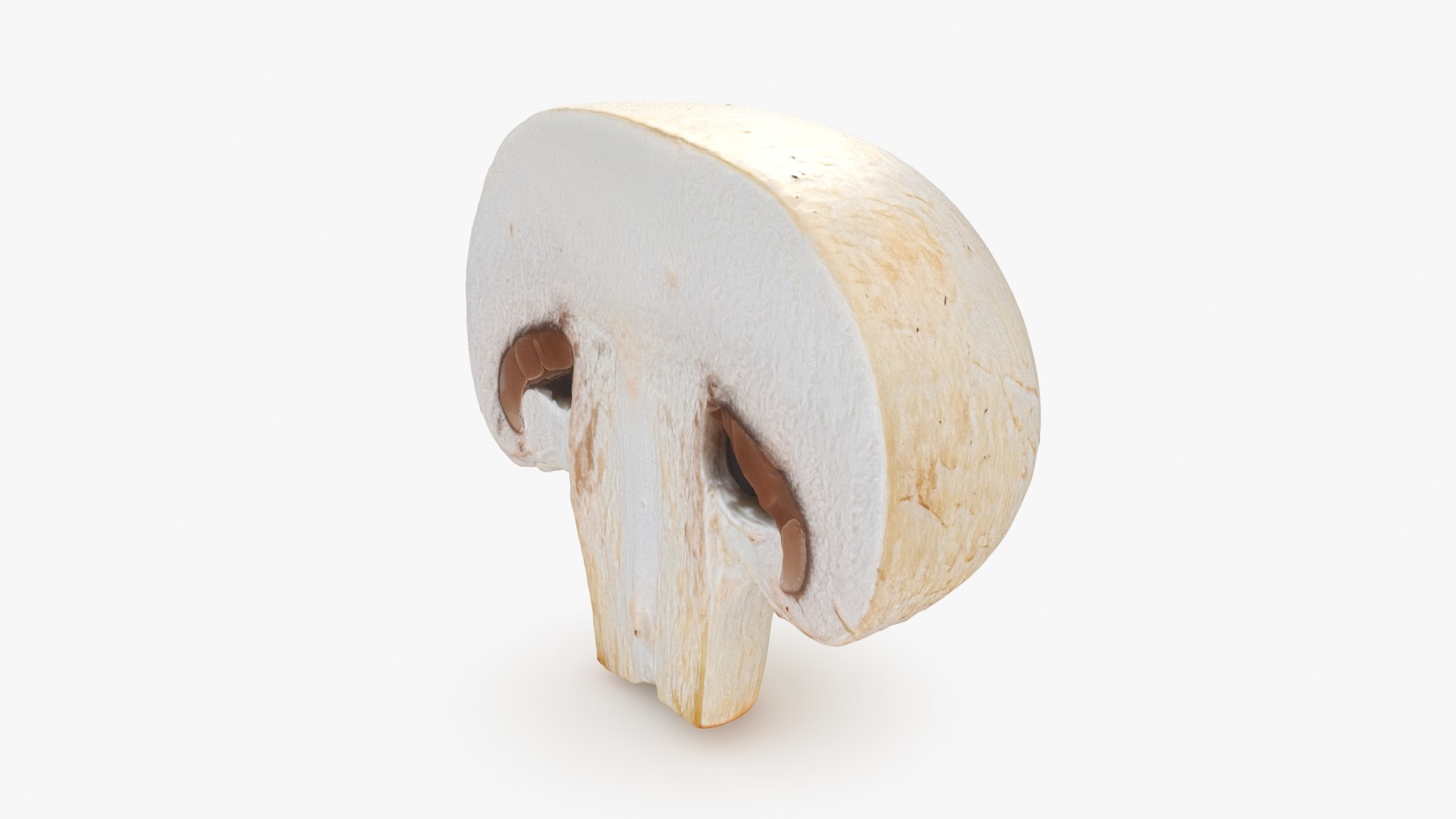 Half Champignon Mushroom 3D model https://p.turbosquid.com/ts-thumb/hN/WI5GK6/Wr/champignonhalf_b0016/jpg/1719422863/1920x1080/fit_q87/5fc4f40e080e5d75e4793c8a6d9e4acc7c2b1f83/champignonhalf_b0016.jpg