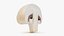 Half Champignon Mushroom