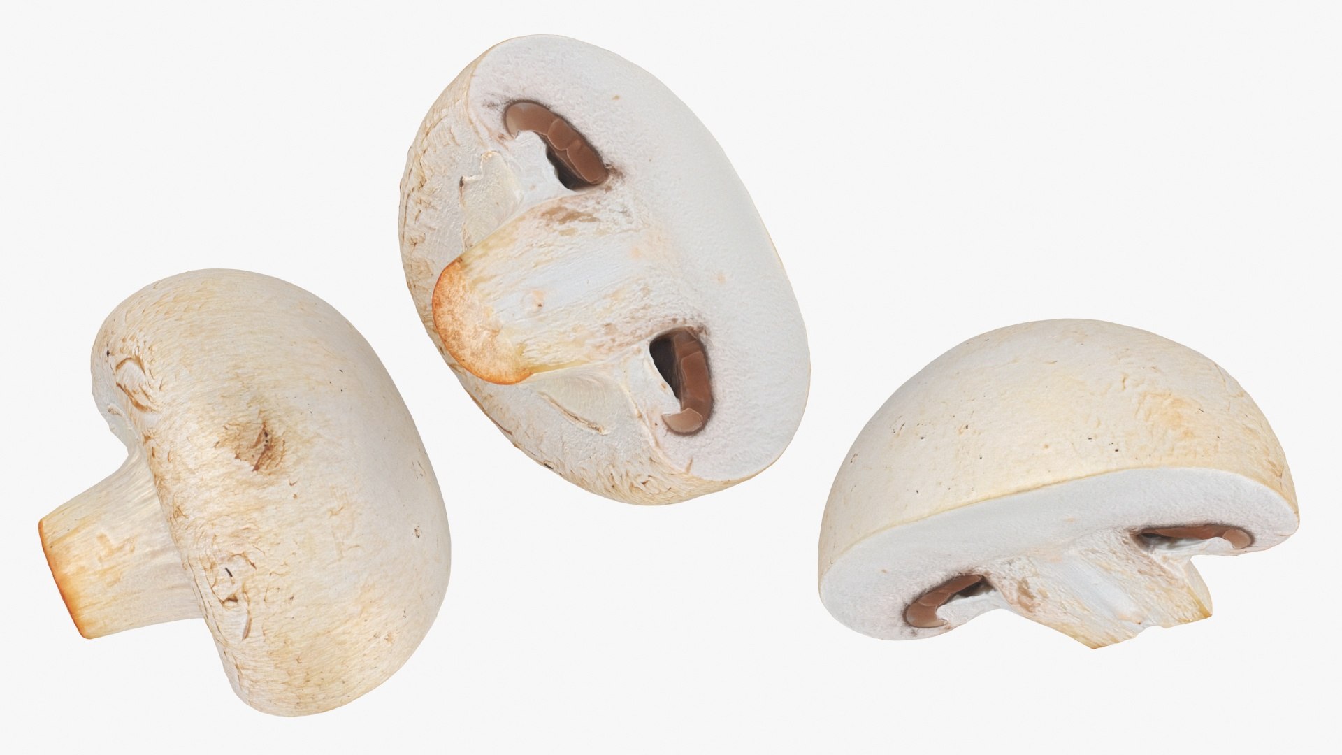 Half Champignon Mushroom 3D model https://p.turbosquid.com/ts-thumb/hN/WI5GK6/gO/champignonhalf_a0003/jpg/1719422856/1920x1080/fit_q87/4a9c0c7d7538b666d14eae9200b3b036d8b14895/champignonhalf_a0003.jpg