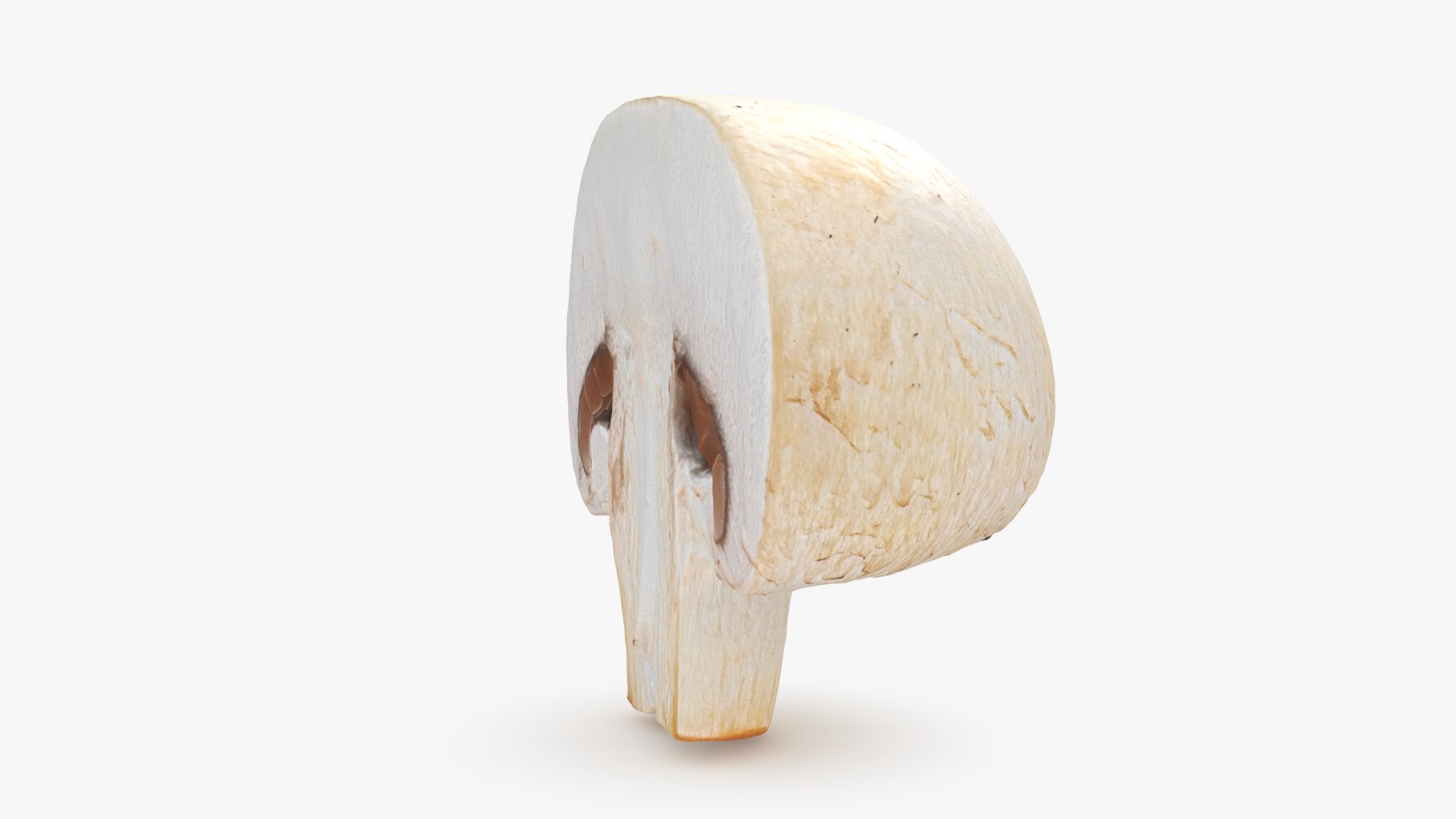 Half Champignon Mushroom 3D model https://p.turbosquid.com/ts-thumb/hN/WI5GK6/h6/champignonhalf_b0006/jpg/1719422860/1920x1080/fit_q87/c77c96c1879e638e00839a38ba3698215fa1d6a5/champignonhalf_b0006.jpg