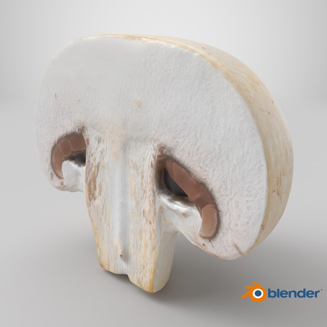 Half Champignon Mushroom 3D model https://p.turbosquid.com/ts-thumb/hN/WI5GK6/hG/stemcell_blender_cycles_render/png/1719503343/1920x1080/fit_q87/aeca81f947493db260d8f82f1139f3819b2ffcc2/stemcell_blender_cycles_render.jpg