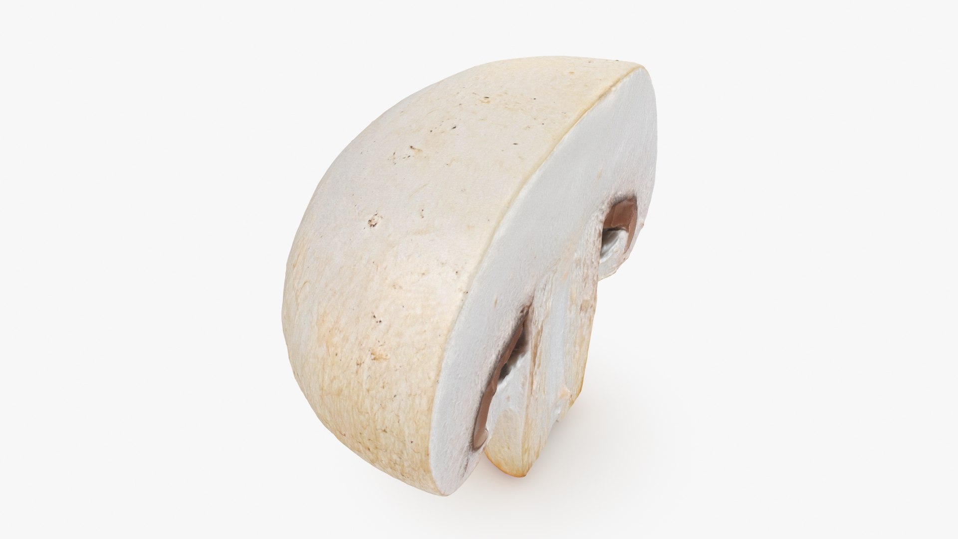 Half Champignon Mushroom 3D model https://p.turbosquid.com/ts-thumb/hN/WI5GK6/jr/champignonhalf_b0010/jpg/1719422860/1920x1080/fit_q87/2d2fdd122319fd179496f2e193f197d3b7945da1/champignonhalf_b0010.jpg