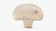 Half Champignon Mushroom