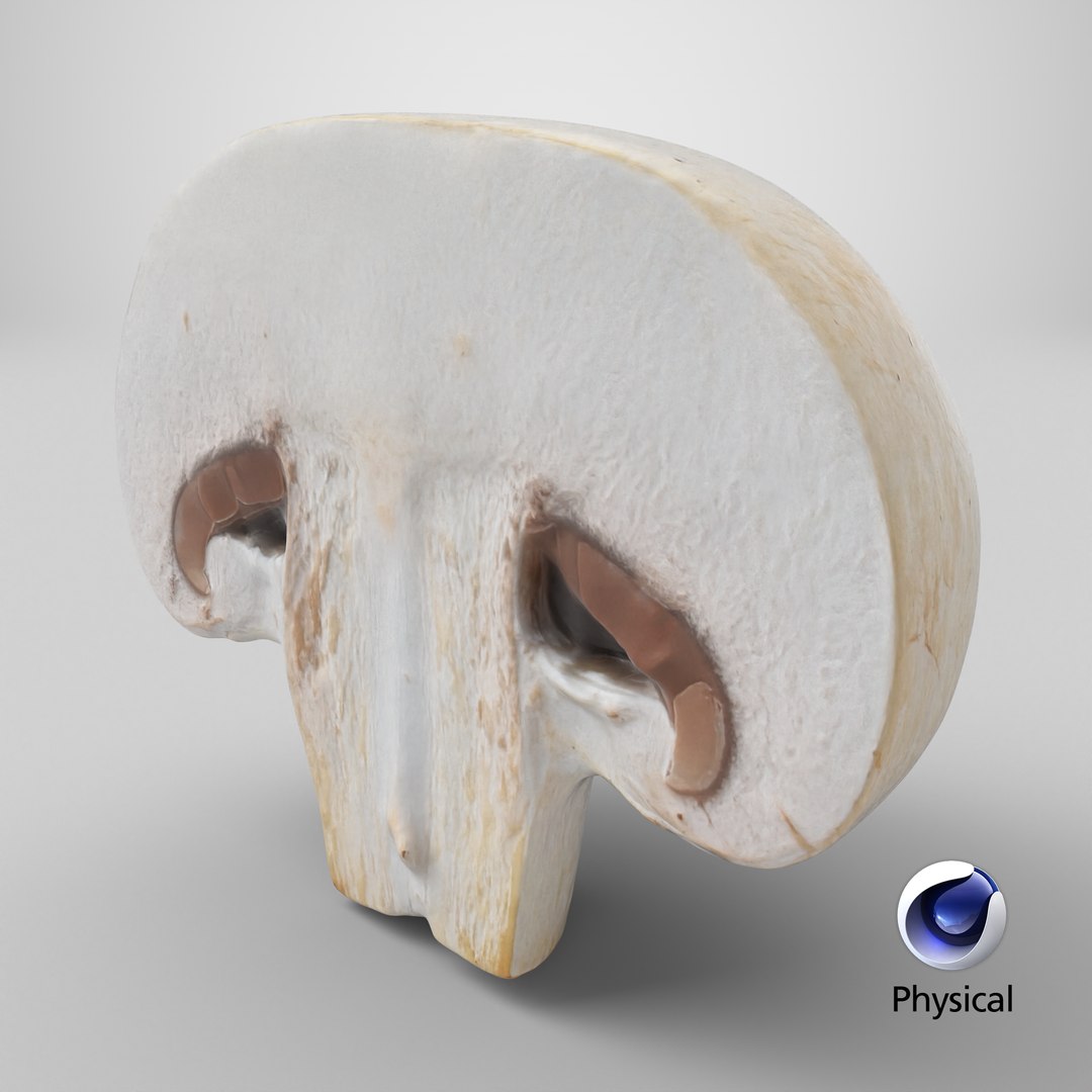 Half Champignon Mushroom 3D model https://p.turbosquid.com/ts-thumb/hN/WI5GK6/t8/stemcell_cinema_4d_physical_render/png/1719503353/1920x1080/fit_q87/e14fa1c0114fd03191ecdf9cbc6c163fce9f40da/stemcell_cinema_4d_physical_render.jpg