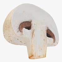 Half Champignon Mushroom
