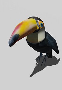 Realistic toucan OBJ
