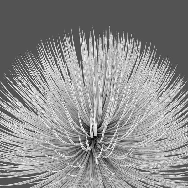 modelo 3d Agave estricta - TurboSquid 1935566