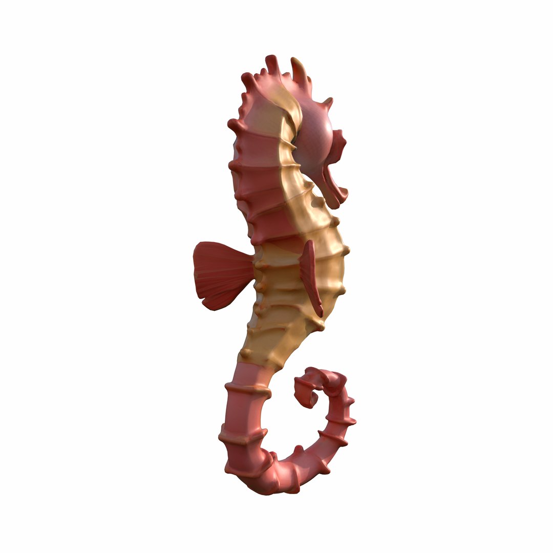 3D Seahorse https://p.turbosquid.com/ts-thumb/hN/t5d2Wz/L8/8/png/1739116350/1920x1080/fit_q87/8090bd8dcd7160299dd1a035bc713baaa4a5eecc/8.jpg