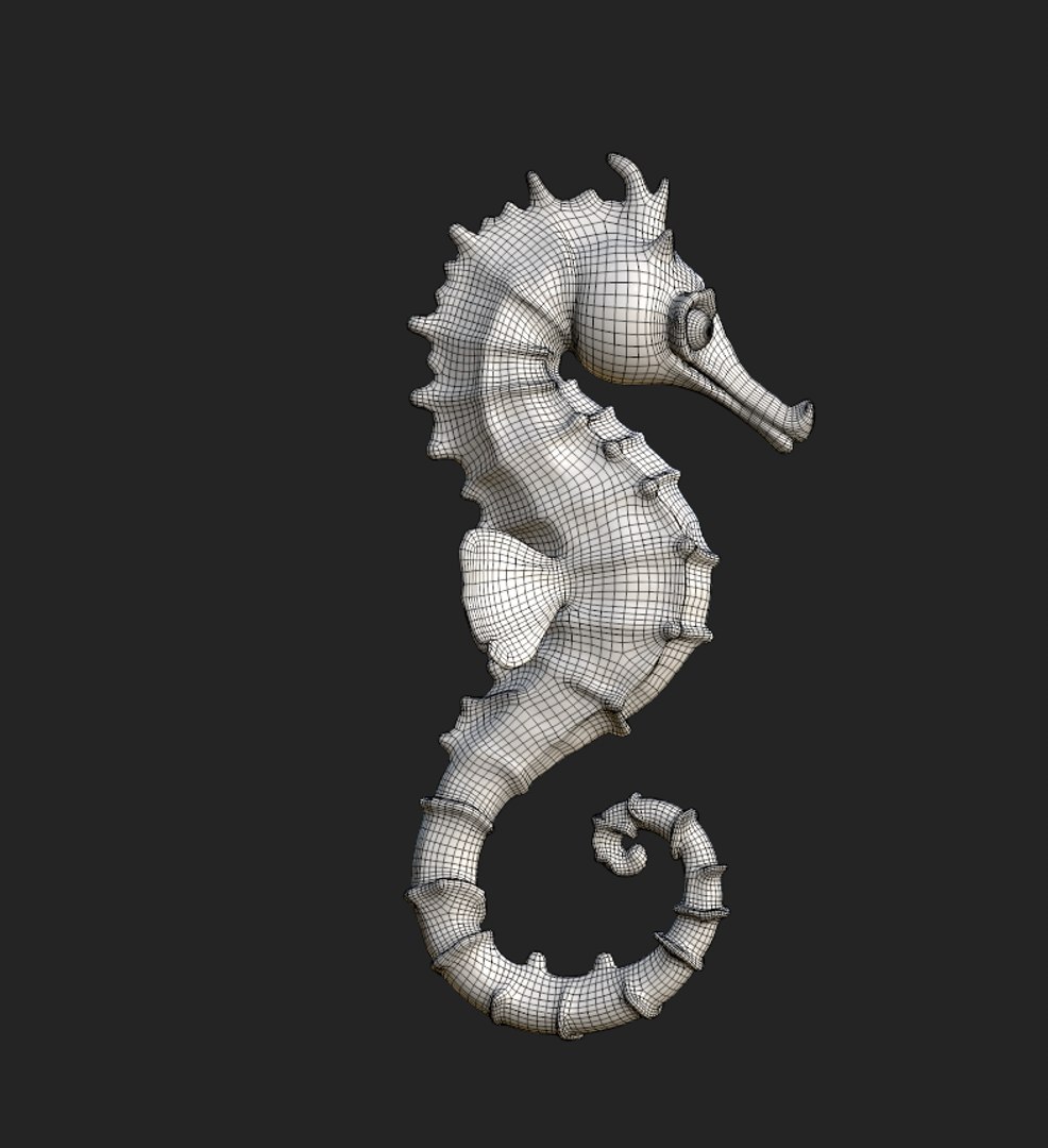 3D Seahorse https://p.turbosquid.com/ts-thumb/hN/t5d2Wz/WQ/screenshot_8/png/1739116358/1920x1080/fit_q87/1514286a3031338d476be2227fc61fb8df3918c2/screenshot_8.jpg