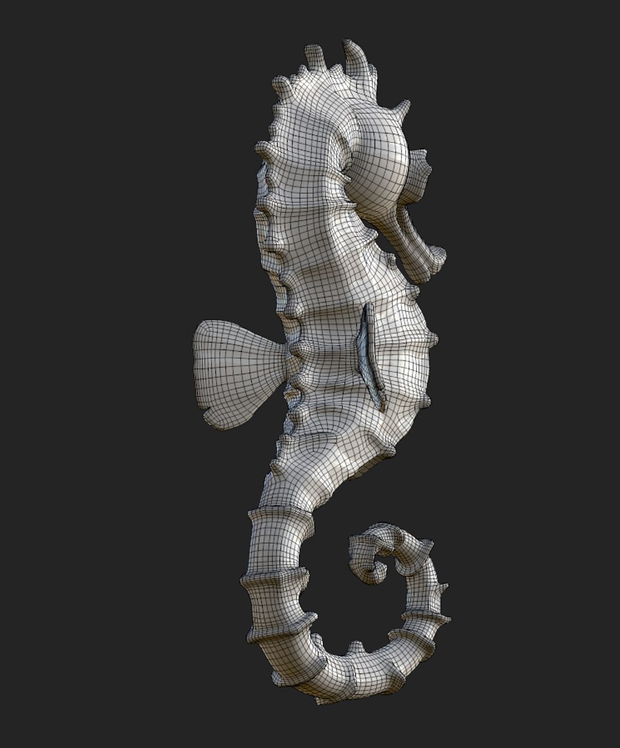 3D Seahorse https://p.turbosquid.com/ts-thumb/hN/t5d2Wz/wz/screenshot_2/png/1739116357/1920x1080/fit_q87/898bac0f3faaf550364ca2ae9104647c6956b35d/screenshot_2.jpg