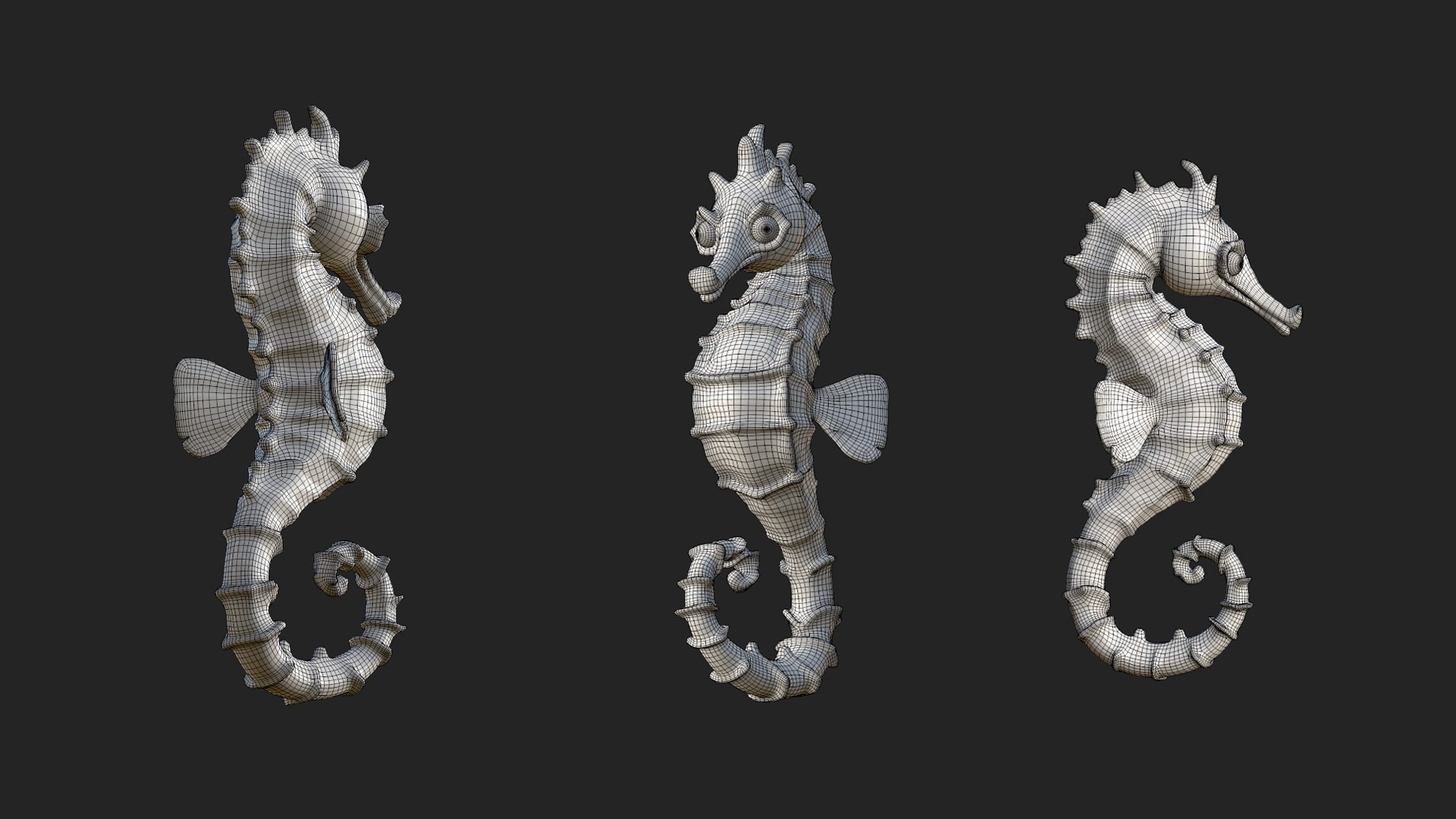 3D Seahorse https://p.turbosquid.com/ts-thumb/hN/t5d2Wz/yO/www/png/1739116359/1920x1080/fit_q87/36b14e5d0810939220c4bb38fd11259301d098c8/www.jpg