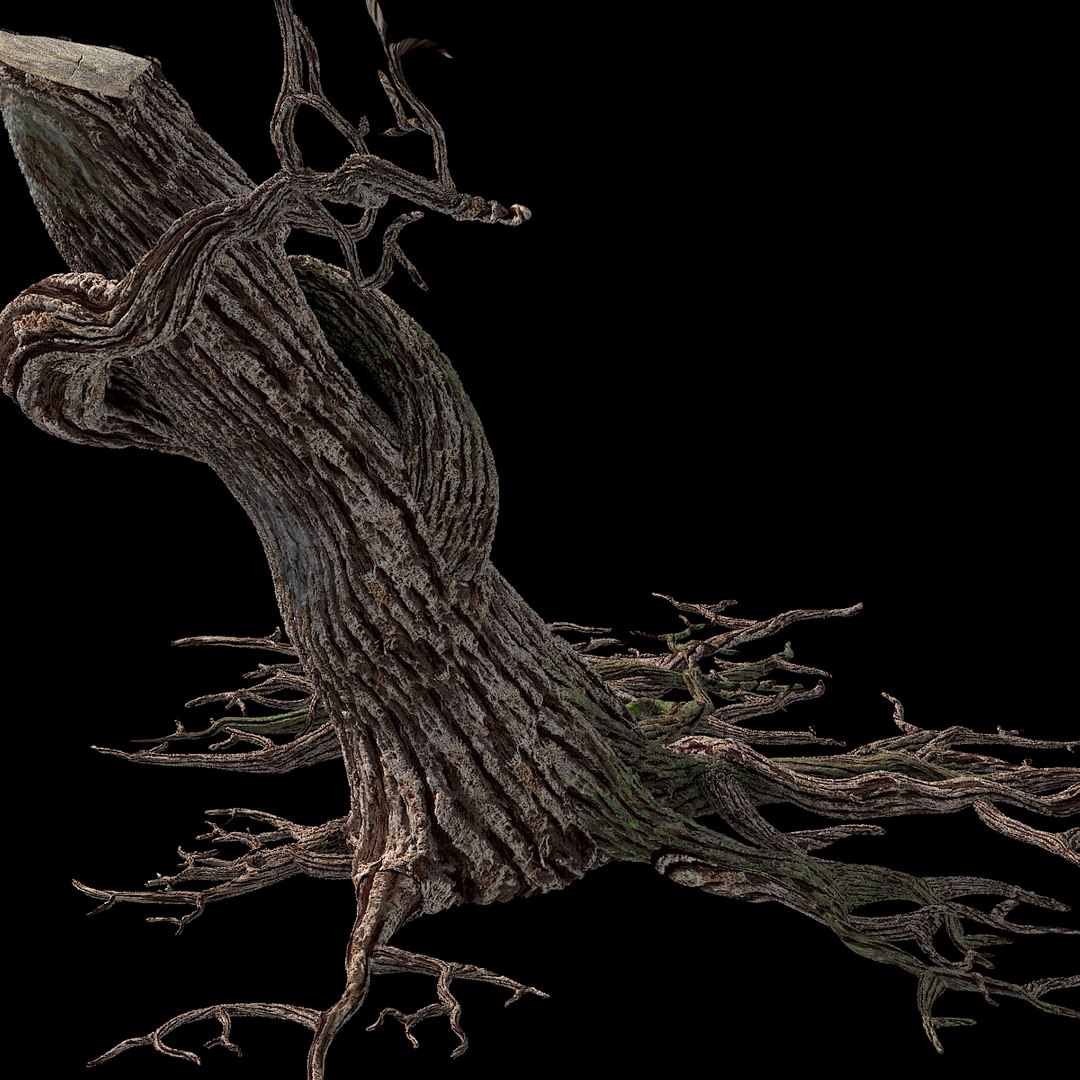 3d max dry tree https://p.turbosquid.com/ts-thumb/hN/v5Py9U/1hFhRzHP/tree03/jpg/1344956894/1920x1080/fit_q87/cebd90fb21f862834638190c1a64b758fbf0638a/tree03.jpg