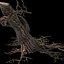 Dry Tree