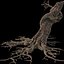 Dry Tree