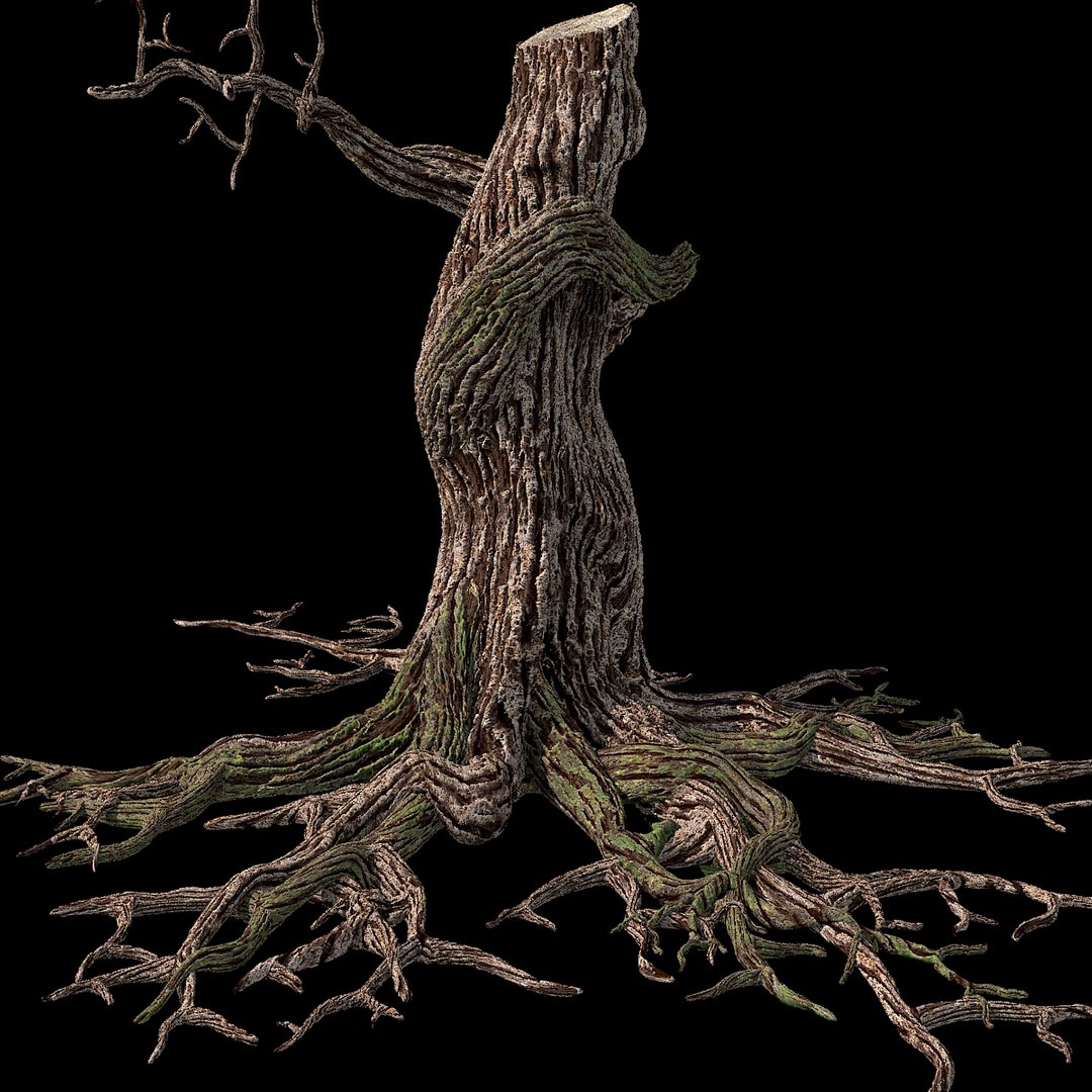 3d max dry tree https://p.turbosquid.com/ts-thumb/hN/v5Py9U/WsBOXMPC/tree01/jpg/1344965808/1920x1080/fit_q87/2802ea07eed794a23fb143721c18e3d356f2dd7e/tree01.jpg