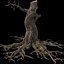 Dry Tree