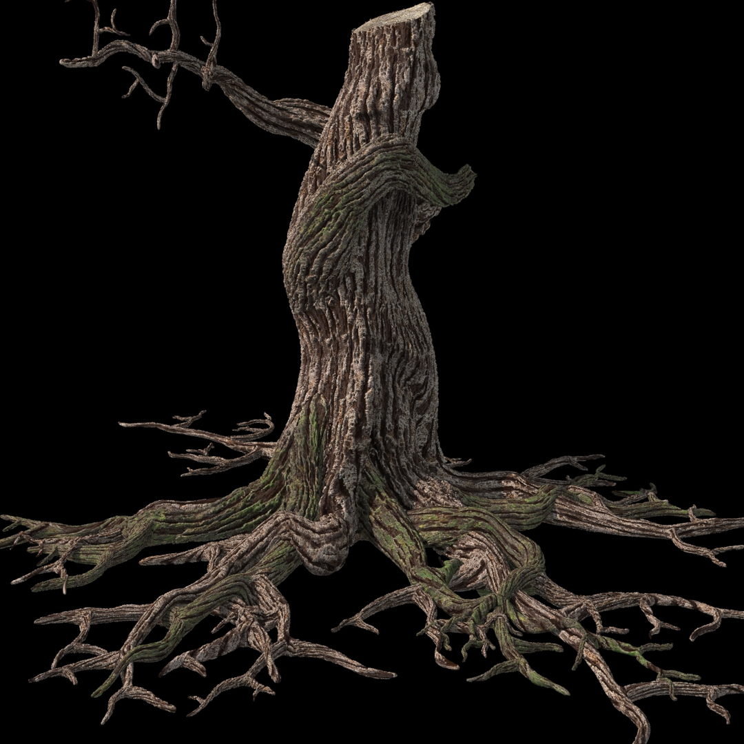 3d max dry tree https://p.turbosquid.com/ts-thumb/hN/v5Py9U/Yrz9Dnjf/drytree/jpg/1345123778/1920x1080/turn_fit_q99/38a571bc3295c2ea7feddf3ba67e2b987a86c0e4/drytree-1.jpg