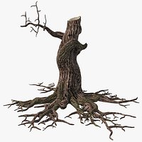 Dry Tree