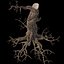 Dry Tree