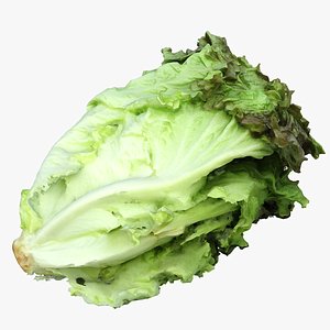 Salad Head 06