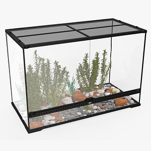 Large Terrarium with Plants Garden