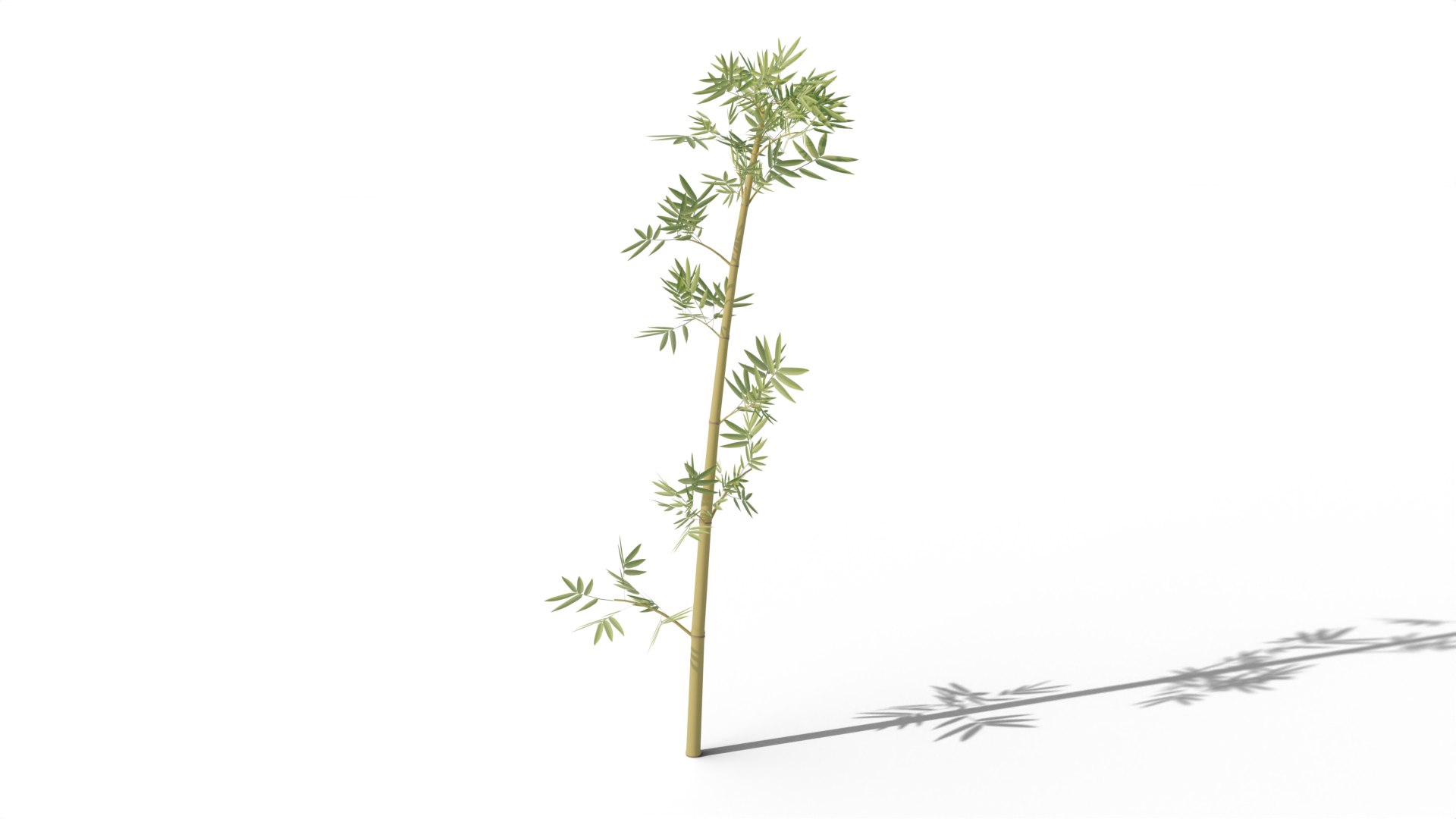 3D Bamboo Model - TurboSquid 2226553