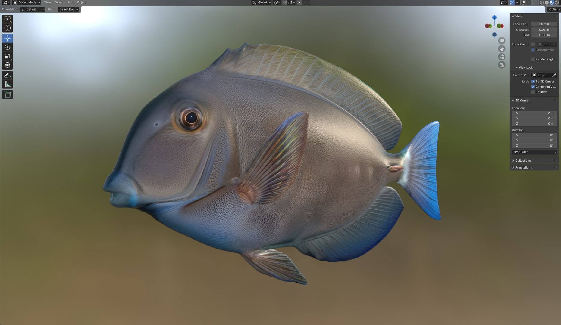 Doctor Fish Doctorfish 3D Model - TurboSquid 2548601