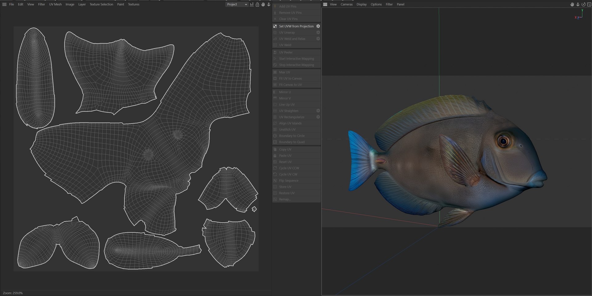 Doctor Fish Doctorfish 3D Model - TurboSquid 2548601