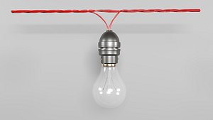 Bulb with holder and wire