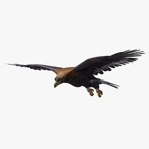 golden eagle 3d model