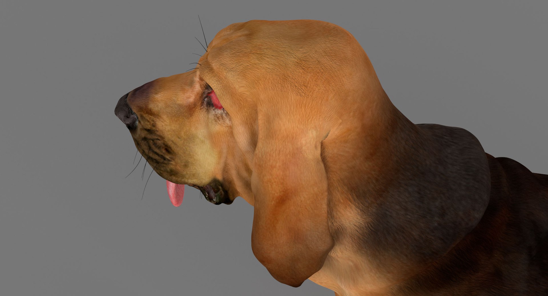 bloodhound black tan body armor 3d model https://p.turbosquid.com/ts-thumb/hO/nvuVXH/83yncKZH/15/jpg/1436960080/1920x1080/fit_q87/4bf9a9f4ff1bcec3e96f158d468ee3d90bf85b1b/15.jpg