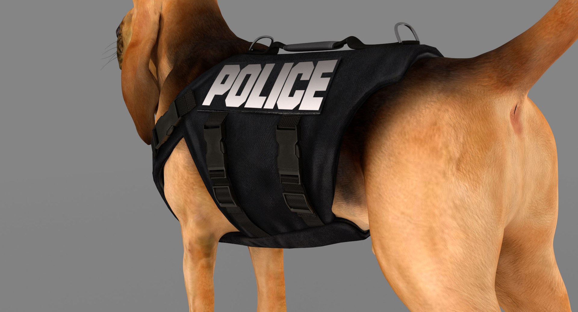 bloodhound black tan body armor 3d model https://p.turbosquid.com/ts-thumb/hO/nvuVXH/AXUvmjTw/16/jpg/1438032703/1920x1080/fit_q87/c753be67404057be5482fafb163540884c28d054/16.jpg